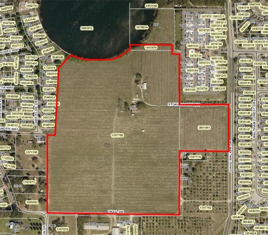 32+/- Acres in Tavares