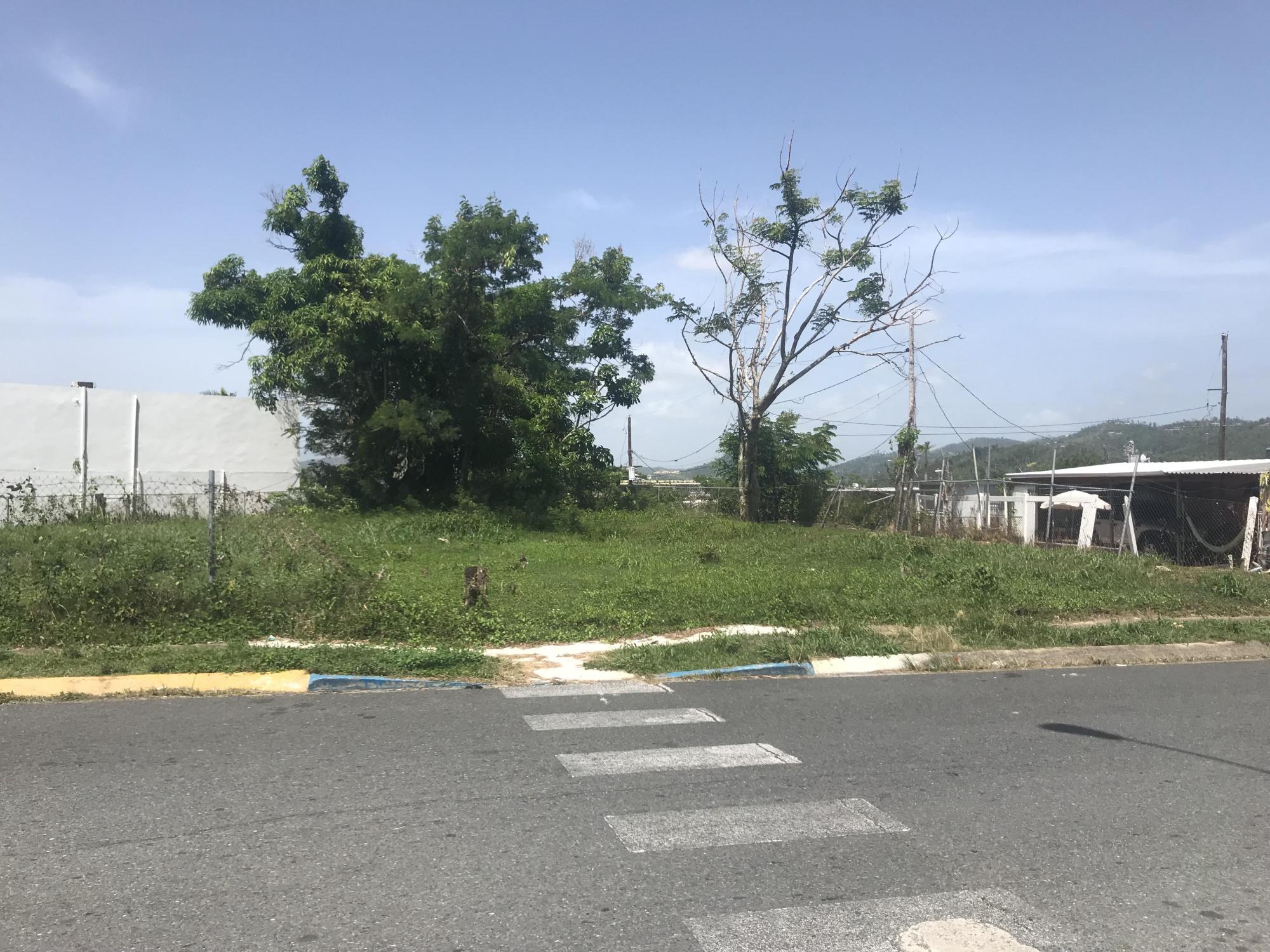 Commercial-Zoned Caguas Vacant Land- FOR SALE