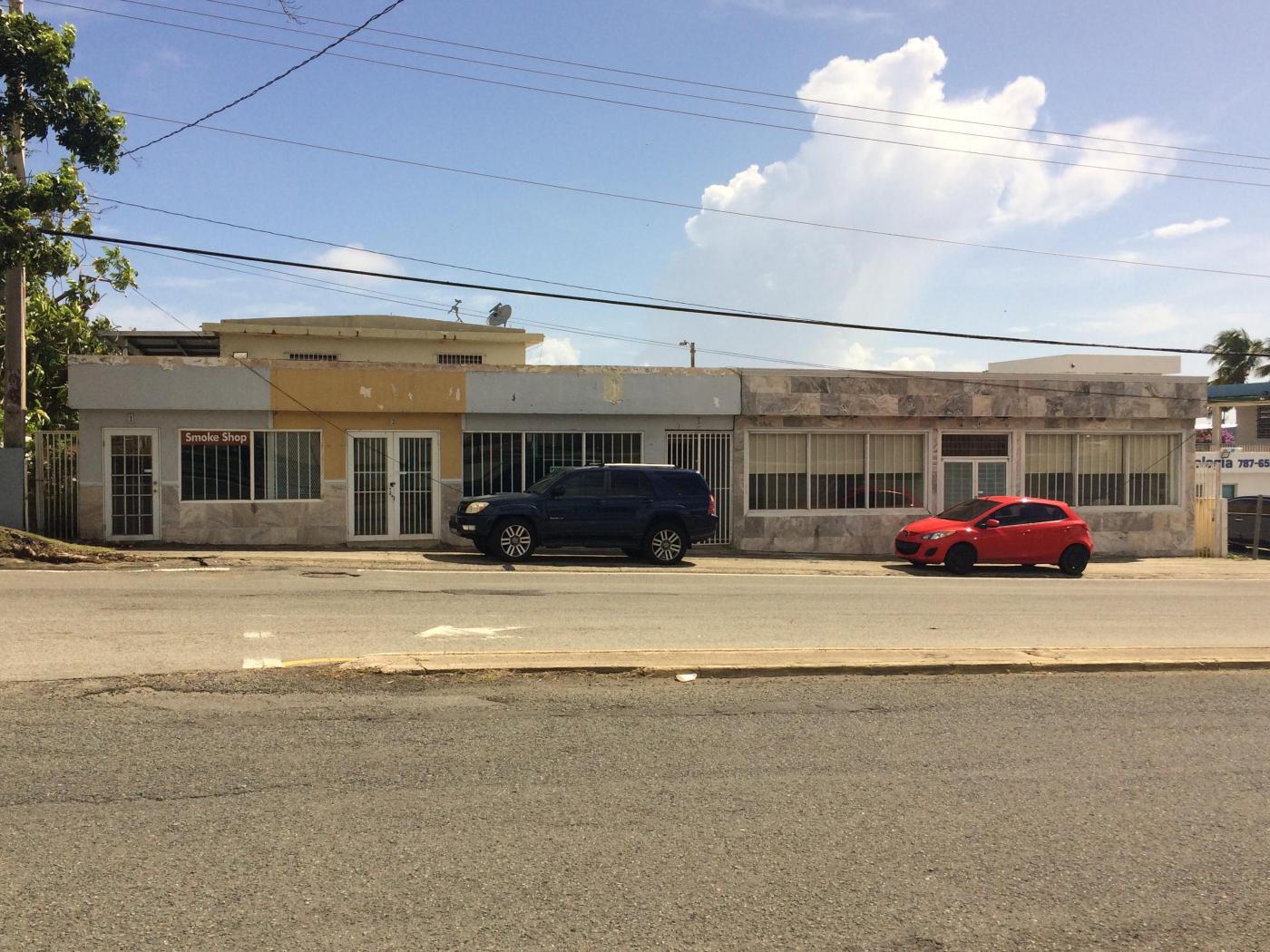 Fajardo Gardens Mixed-Use Property - FOR SALE