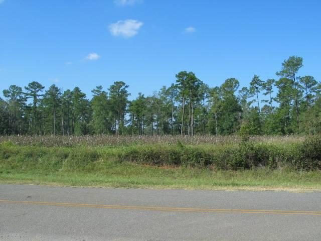 56 Acres Stringer Road