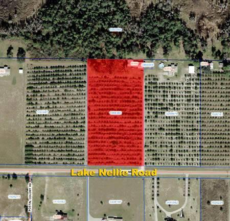 Lake Nellie Road Property