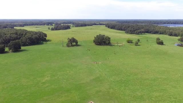 835 Acres of Pasture and Timber with Lk front