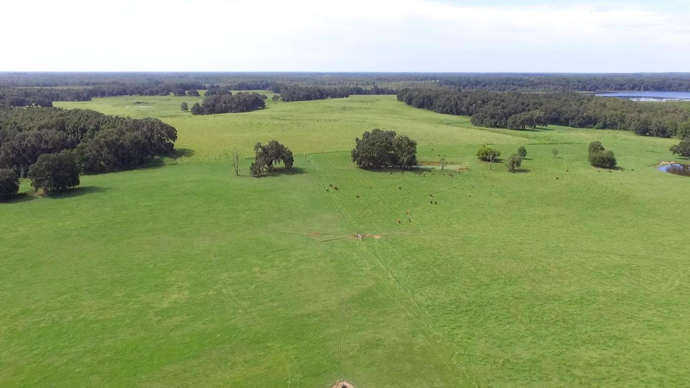 835 Acres of Pasture and Timber with Lk front