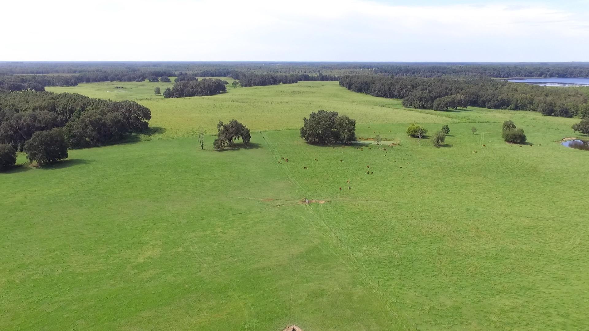 835 Acres of Pasture and Timber with Lk front