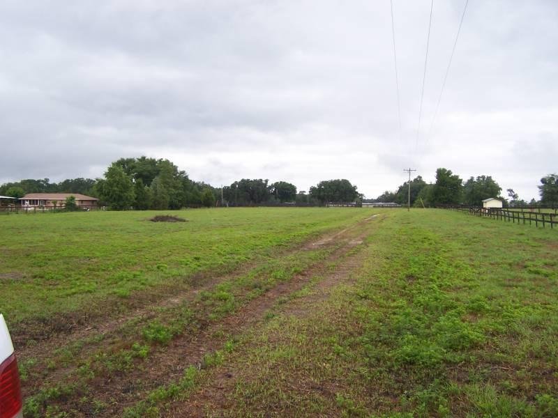 West Pedro Farm