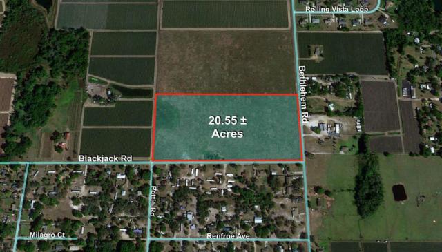 20+- ac w/R-1 Future Land Use in Dover