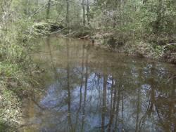 25+ Acres in Twiggs County