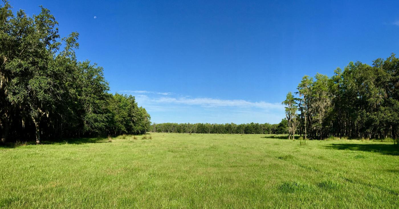 10+/- Acres of Residential Homesite Land