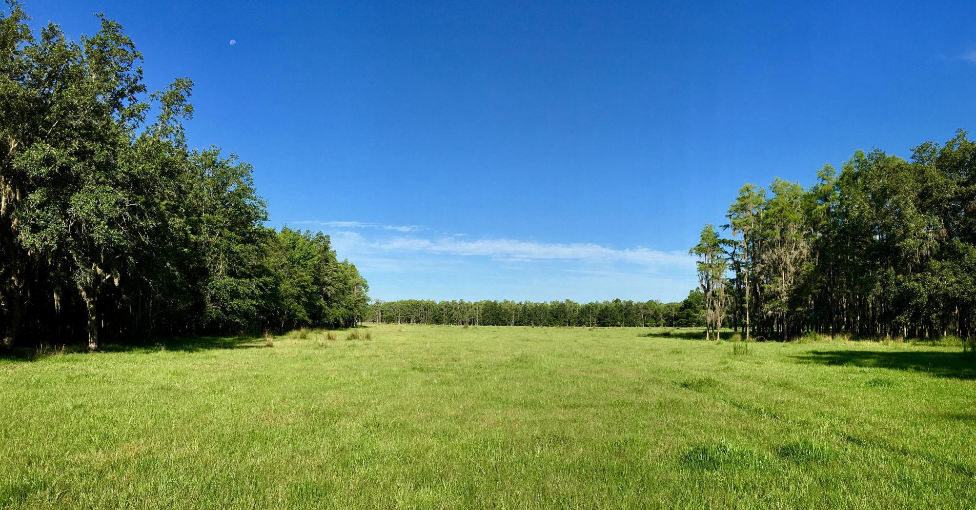 10+/- Acres of Residential Homesite Land