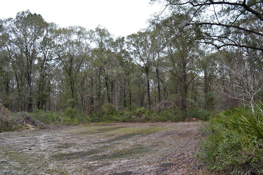 Alachua County Hunting Tract