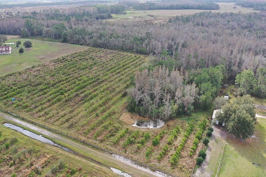 Hidden Grove Road 10 Acres