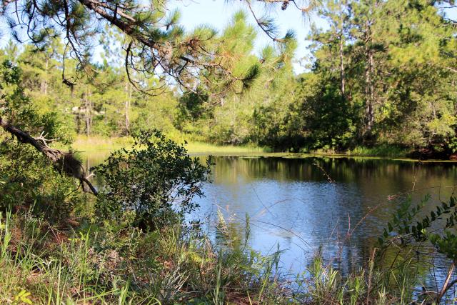 Lovely Residential 18.72 Acres!