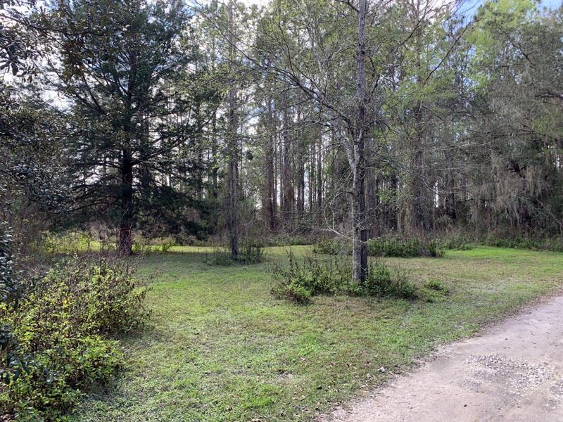 4.5 acres near State Forest