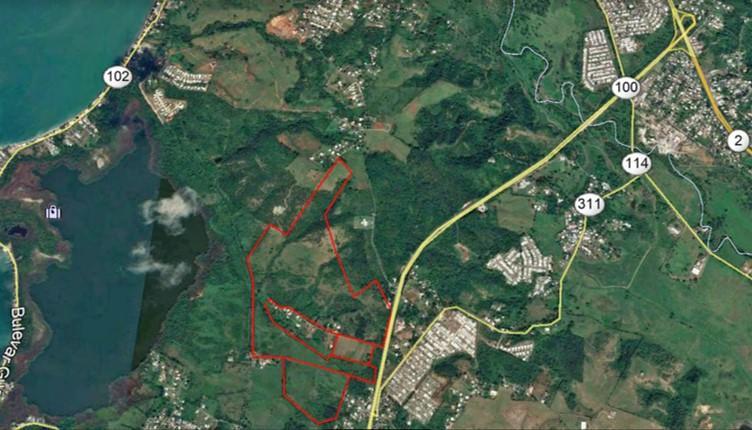 Cabo Rojo Land 350 Acres