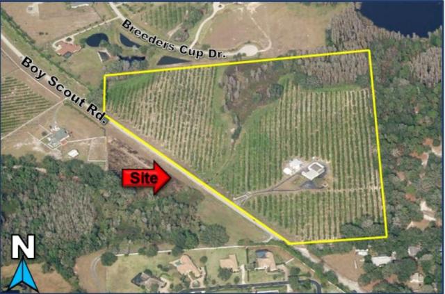 Citrus Grove & Packing House For Sale