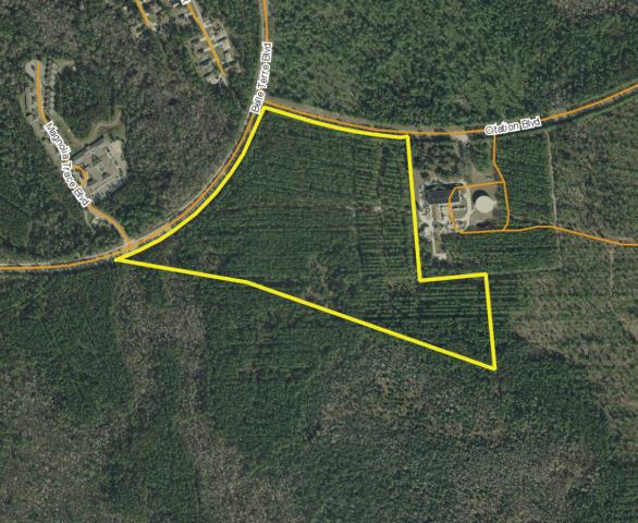Commercial Corner in Palm Coast