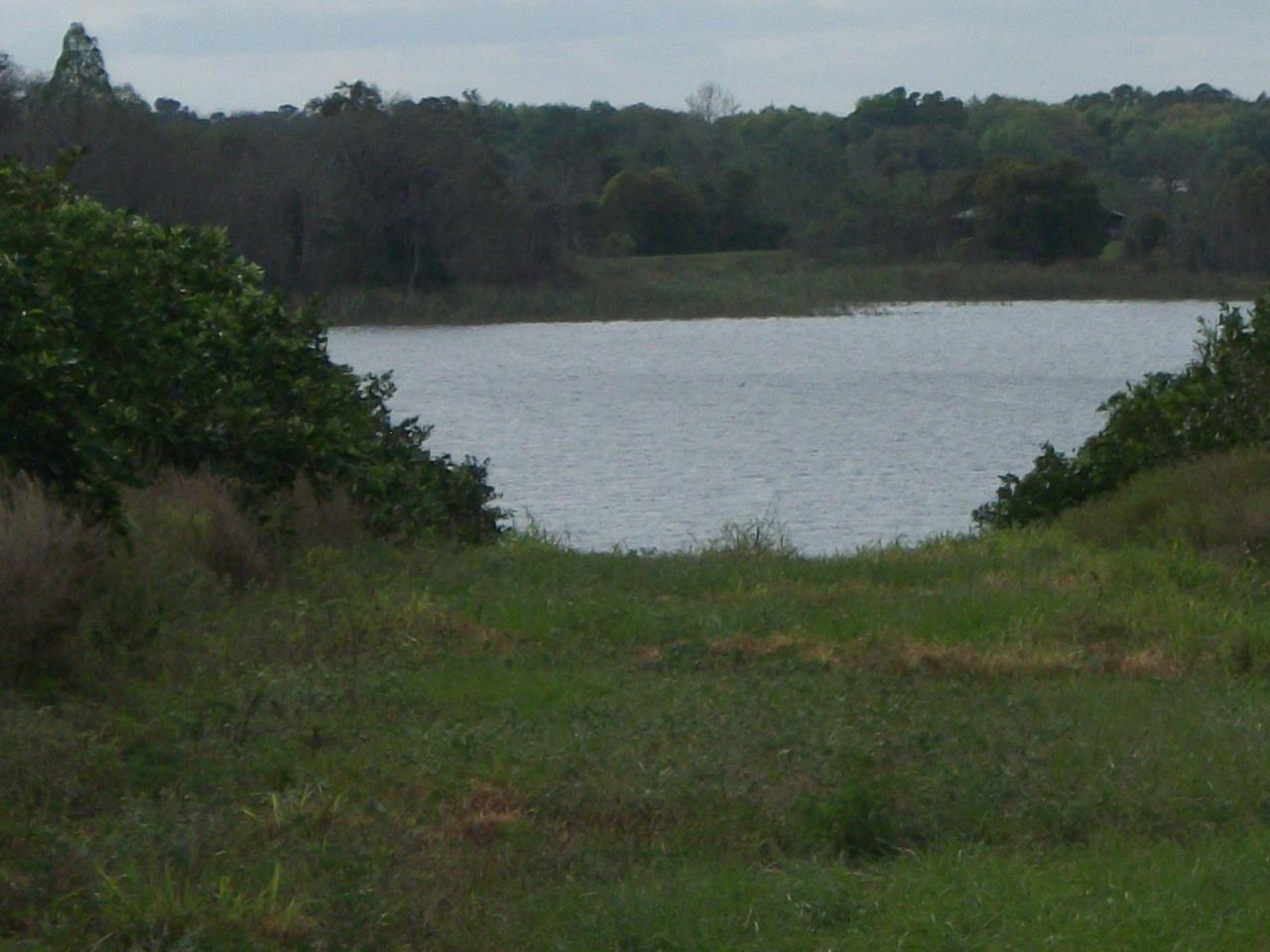 10+/- Acre Beautiful Lake Frontage