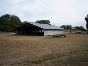 Cattle Ranch