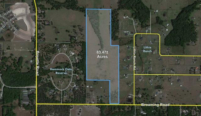 63.47+- ac Pasture Land in Lithia