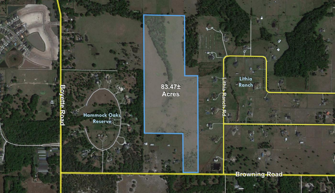63.47+- ac Pasture Land in Lithia