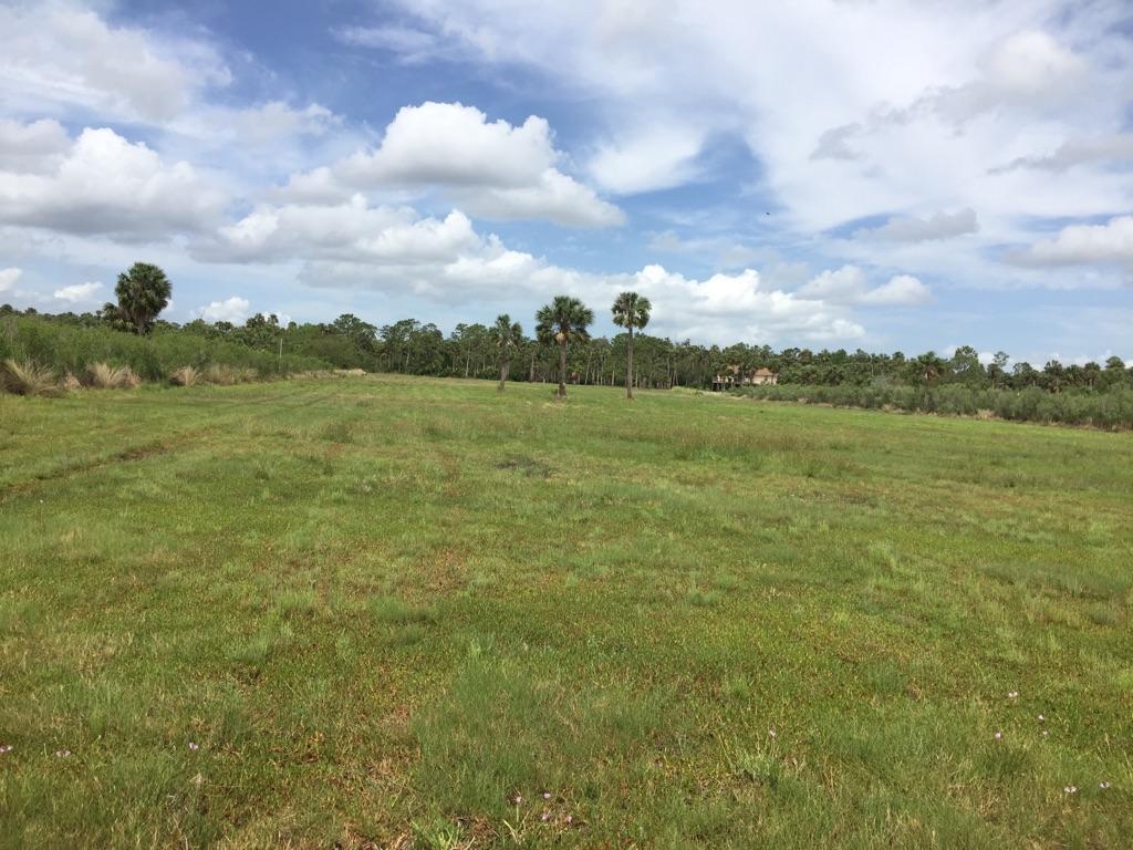 9.66 Acre Waterfront on Lake Harney in Geneva