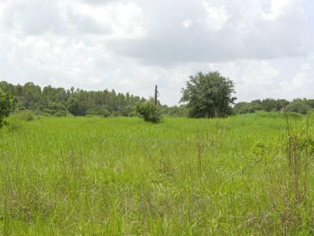 North Tampa Geraci Road Property