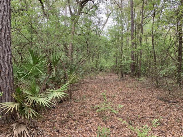 Suwannee Riverfront lot