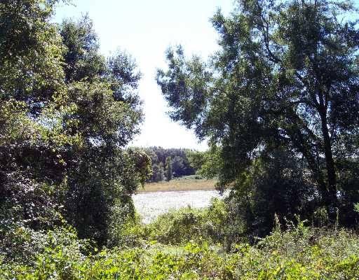 30 Acres Of Paradise