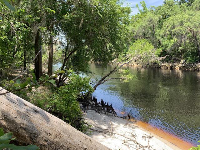 520ft on the Suwannee River
