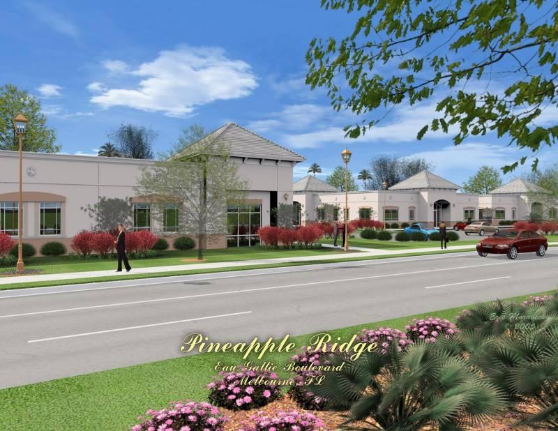 Pineapple Ridge Office Park Pad
