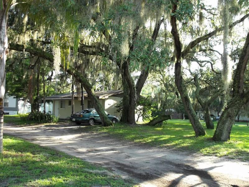 GREAT INVESTMENT TAMPA