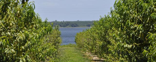 Lake Clinch Residential