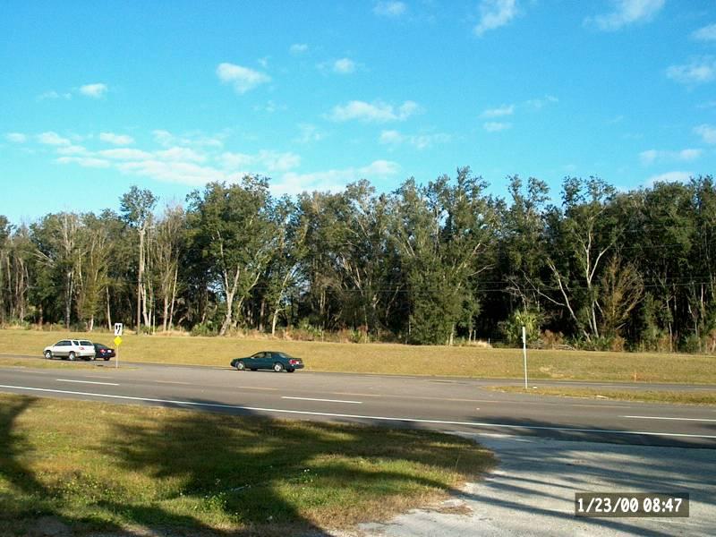 Buck Creek Plantation Site