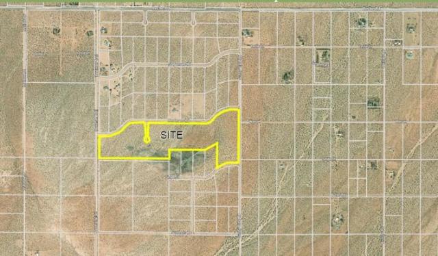 ±33.74 Acres Herdmans Road