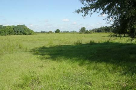 Arcadia Acreage