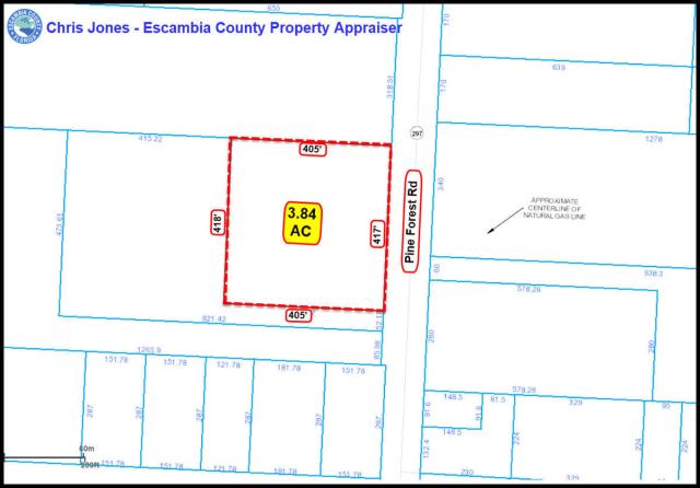 3.84 Ac-Pine Forest-Between I-10 & 9 Mile Rd-