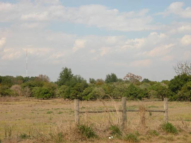 Multi-Purpose and Commercial Site