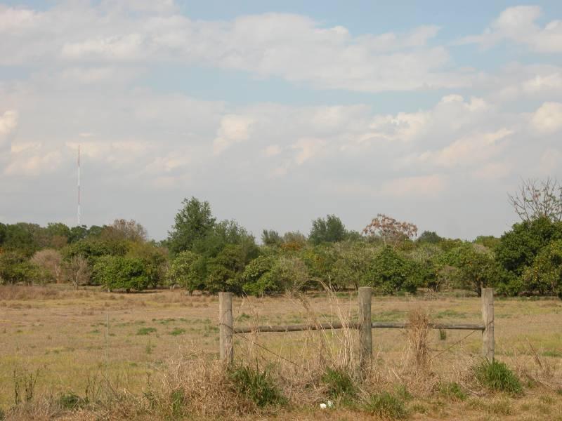 Multi-Purpose and Commercial Site