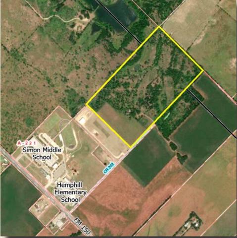 52.9 Acres of vacant land in Kyle, TX