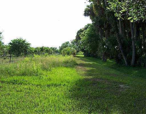15 Acres AG Land