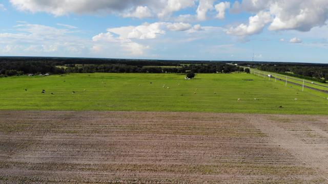 95 +/- Acres