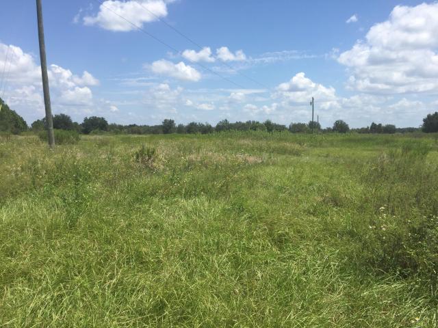 8.19 Acres on Old Stokes Road