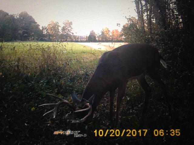 3.15 Residential Acres