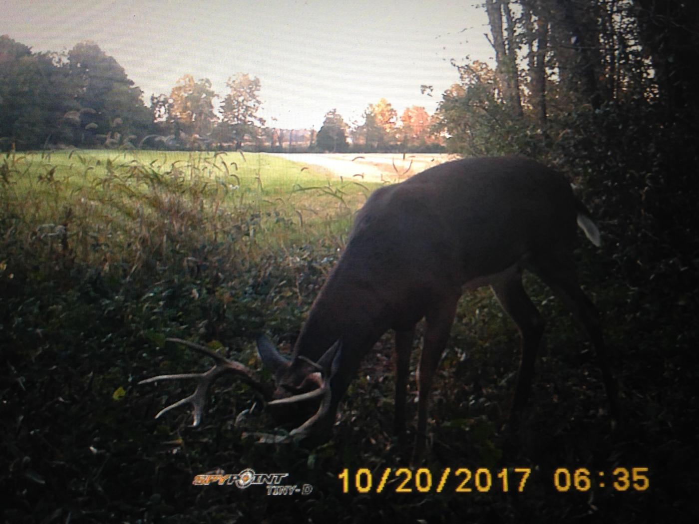 3.15 Residential Acres