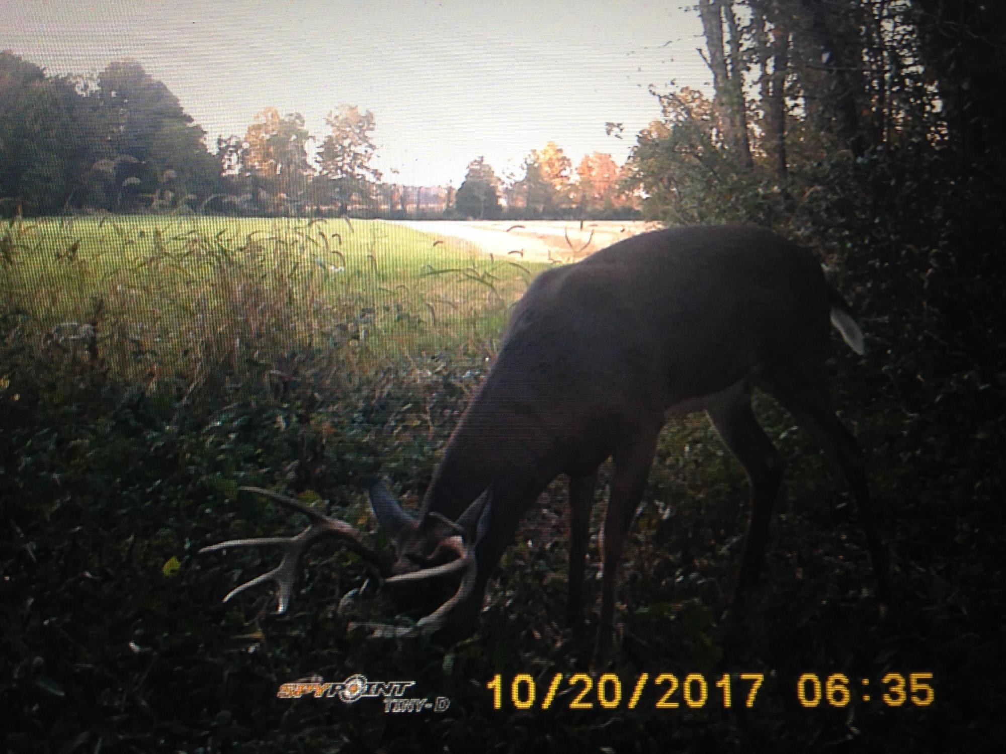 3.15 Residential Acres