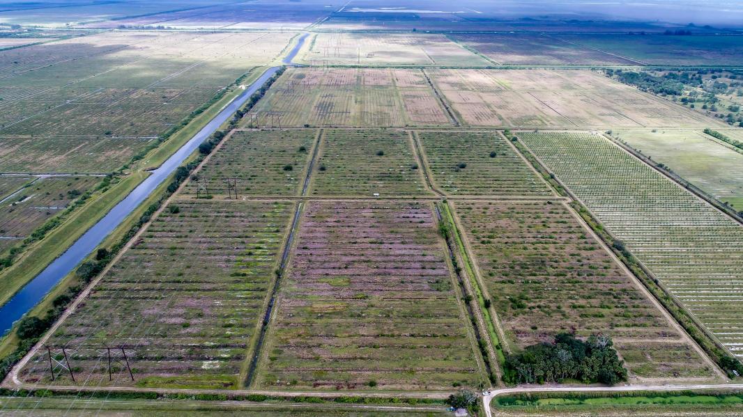 114.61 acres on Schumann Rd
