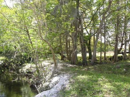 Seminole County Ranchette