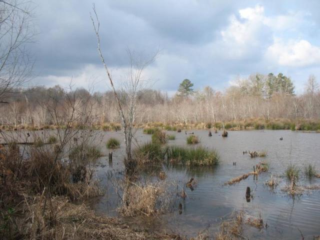 The Duck Hole In Crawford County