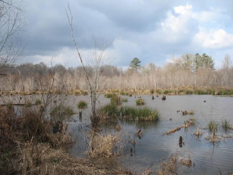 The Duck Hole In Crawford County