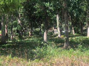 Commercial Land on busy Sanford Avenue!